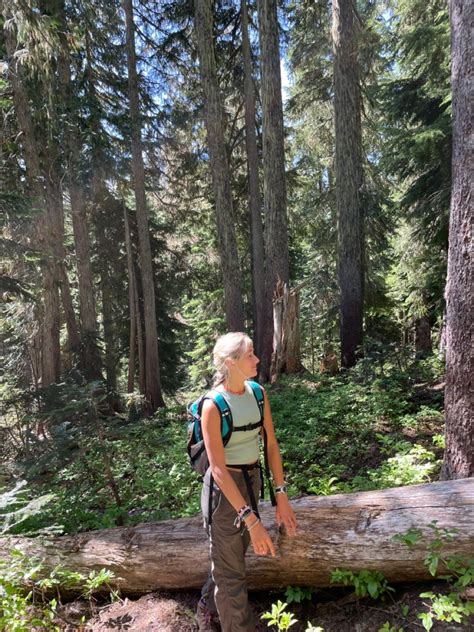 Mid July In Mt Rainer National Park Artofit