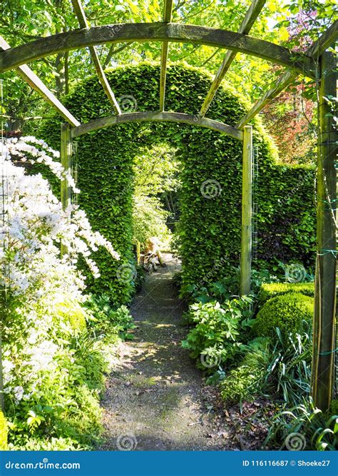 Pergola with Climbing Roses in Springtime Stock Image - Image of