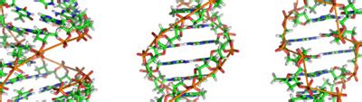 DNA From An Ancient Unidentified Ancestor Was Passed Down To Humans