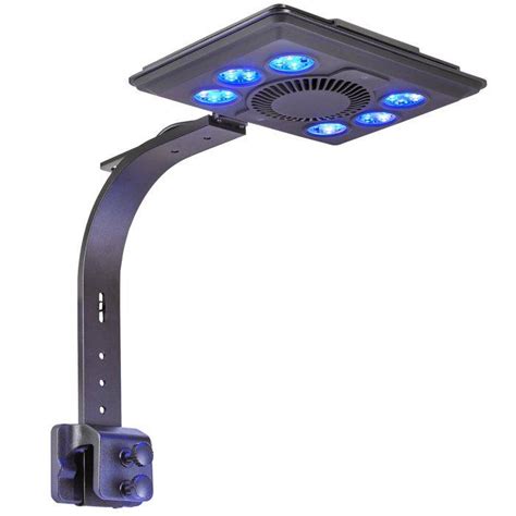 Jump 65w Led Light Blue Bulk Reef Supply