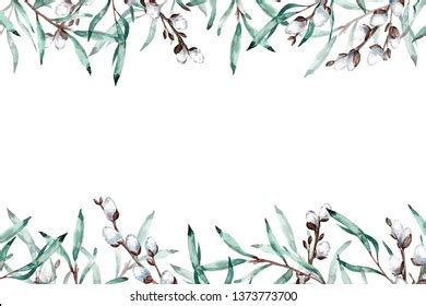 Watercolor Frame Pussy Willow Branches Copy Stock Illustration 1373773700 Shutterstock
