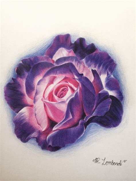 Purple Rose Flower Print Flower drawing Flower art Nature | Etsy