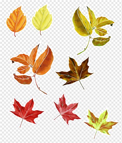 Наклейки листья (50 фото)