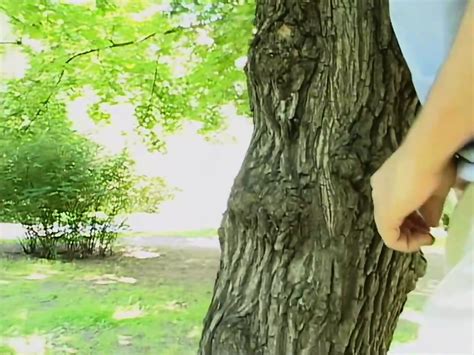 Two Best Friends Take Turns Fucking A Lusty Brunette Teen In Her Tight Ass Claudia Rossi