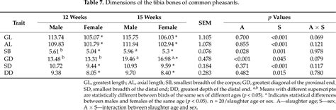 Table From The Effects Of Slaughter Age And Sex On Carcass Traits