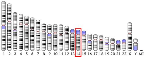 EAPP - Wikipedia