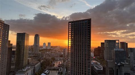 rotterdam movies 10