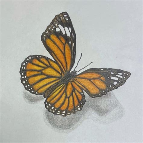 Color And Optical Mixing — Alexis Davis