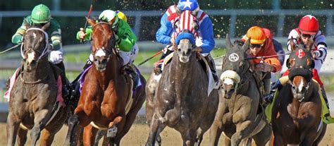 Wedden Op Paarden Gokken Op Paarden Bij Bookmakers