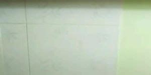 Vietnamese Single Mum Showering And Showing Hairy Pussy Tnaflix