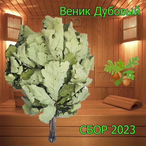 Веник для бани и сауны Дубовый - Веник для бани, купить в интернет ...