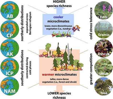 Understanding What Drives Plant Diversity In Alaska Us National Park