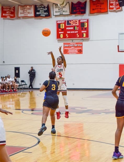 Discovering Calhoun County Inmates: A Look into Jail Records and Arrests 7