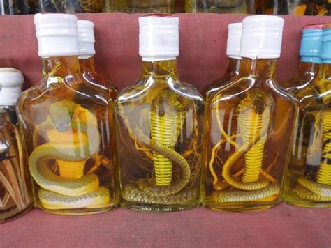 snake wine  complete guide  vietnams legendary drink izitour