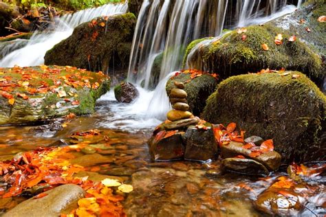 Hermoso Paisaje Con Una Cascada En El Bosque De Oto O Foto Premium