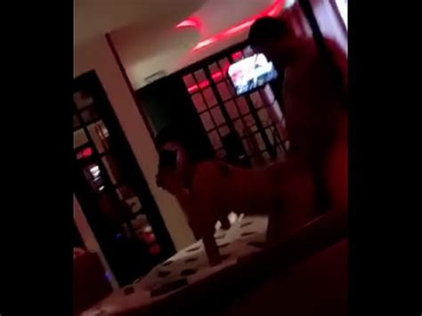 Meteção na bucetinha apertada da gordinha XVIDEOS