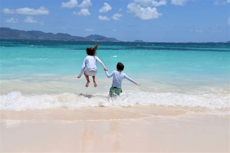 The Making of World Travelers — Harmon Family