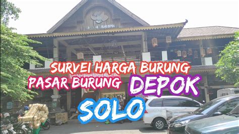 Survei Harga Pasar Burung Depok Solo Harga Burung Terbaru