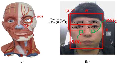 Robust Pulse Rate Measurements from Facial Videos in Diverse Environments