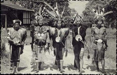 Borneo Is The Rd Largest Island In The World The Indegenous Tribes