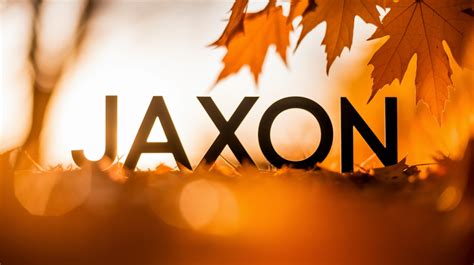 Vanessa Name Meaning: Origin, History & Modern Appeal - Richmond Mom