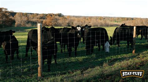 How To Build A Cattle Fence A Step By Step Guide Stay Tuff
