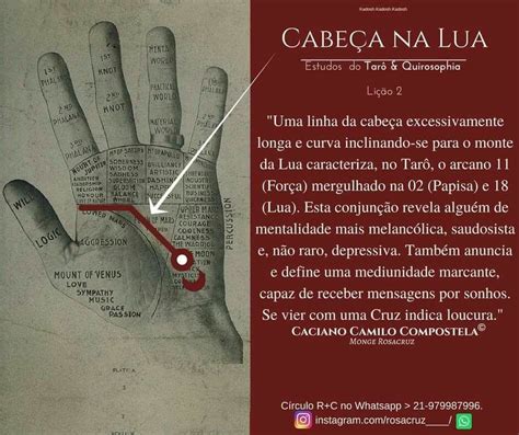 Pin de Aneris em Quiromancia Leitura tarot Conexão espiritual