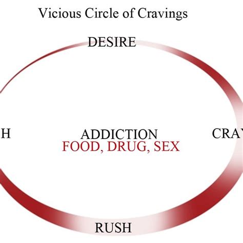 A Diagram Illustrating Four Different Phases Of Drug Sex And Food Download Scientific Diagram