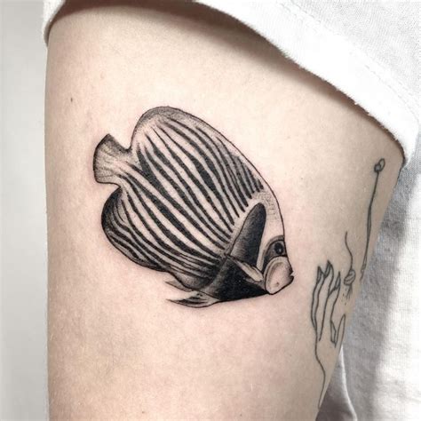 Angelfish Tattoo Simple Angelfish Tattoo Small Angelfish Tattoo