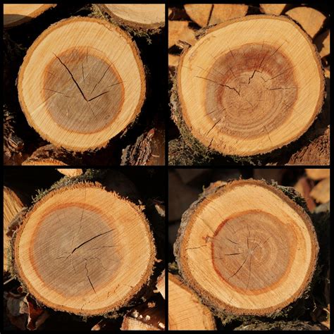 Wood End Texture Pack By Agf81 On Deviantart