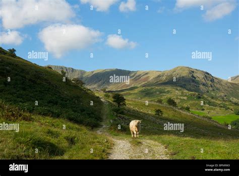Little Langdale Lake District National Park Cumbria England Uk