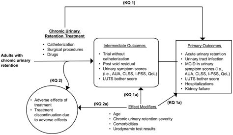 Analytical Framework Chronic Urinary Retention Ncbi Bookshelf