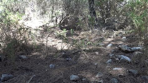 Vintage Mature Bisexual Search XVIDEOS