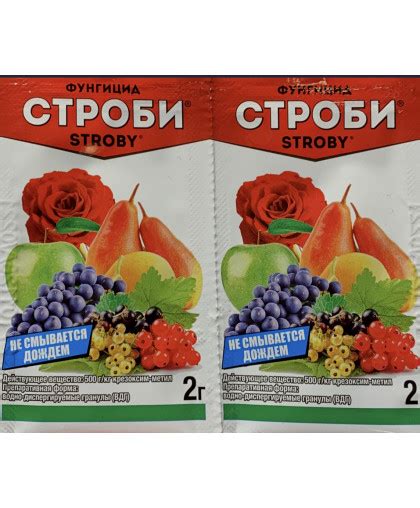Строби 2г