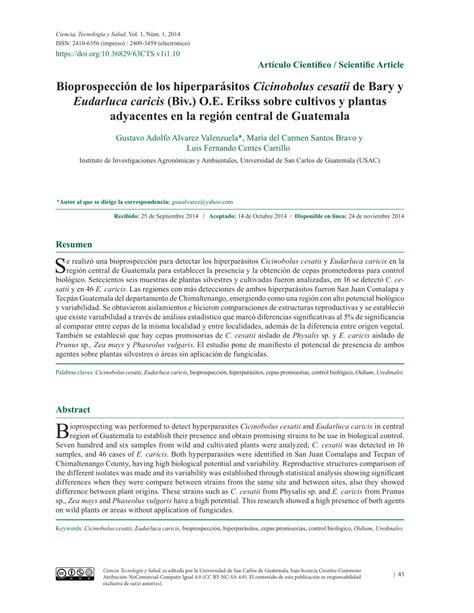 PDF Bioprospección de los hiperparásitos Cicinobolus cesatii de Bary