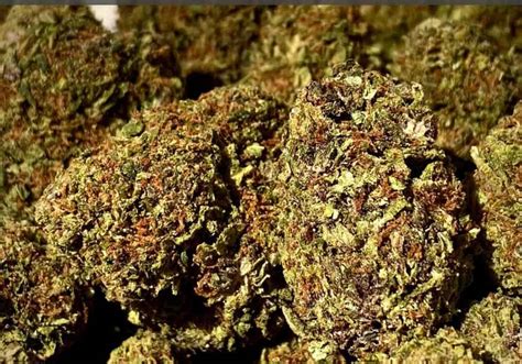 What Are The Best Weed Strains For Sex