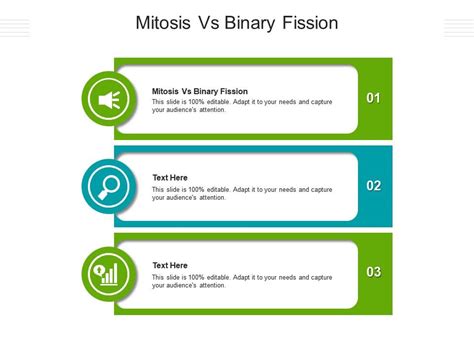 Binary Fission Vs Mitosis