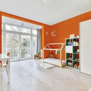 RAL Classic Traffic orange RAL 2009 paint color