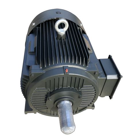 Ye Series Cast Iron Wound Rotor Three Phase Ac Induction Electric