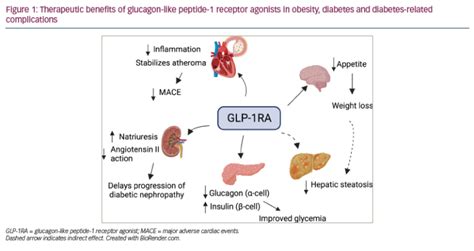 Glucagon Like Peptide 1 Receptor Agonists For The Treatment Of Type 2