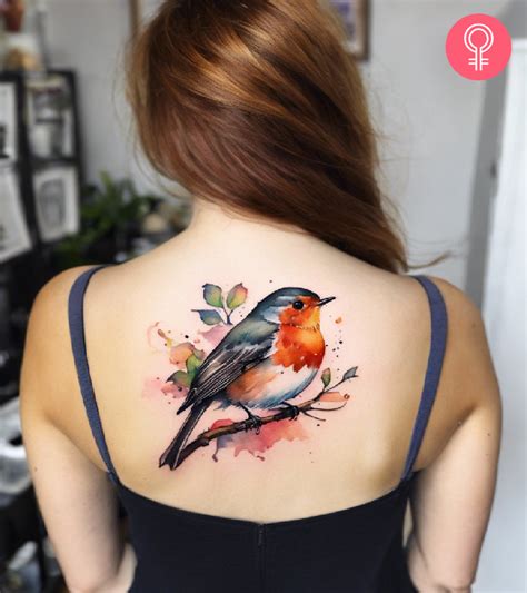 8 Amazing Robin Tattoo Designs And Meanings