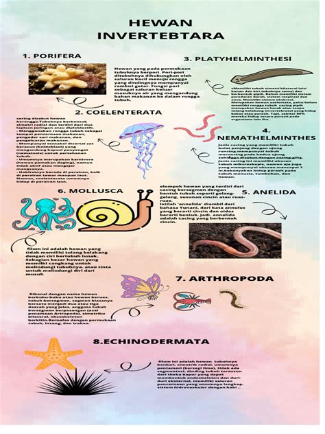 jenis jenis hewan invertebrata  vertebrata
