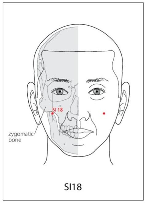 Si 18 Acupuncture Point Racupuncture