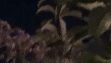 Free Wife Public Porn Videos Xhamster