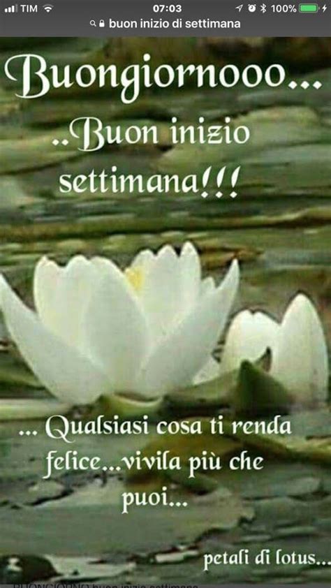 Buongiorno Monelli Kiss Good Morning Good Night Day For Night Good