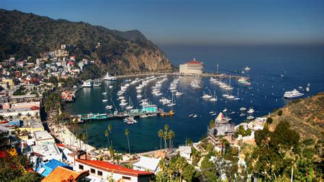 hotels  avalon california hotels  night kayak