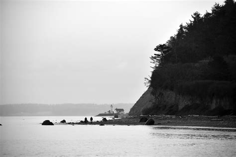 Beach Forest Photos Download The Best Free Beach Forest Stock Photos