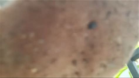 Giantess Latina Milf Lola Outside In Her Garden She Thinks You Are A Bug And Tries To Step On