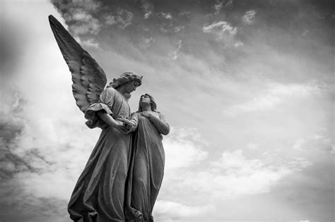 441 Angel Number Twin Flame Signifies Rapid Manifestation Of Your