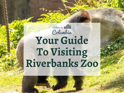 Waterfall Junction at Riverbanks Zoo: Your Guide to FUN! - When In Columbia